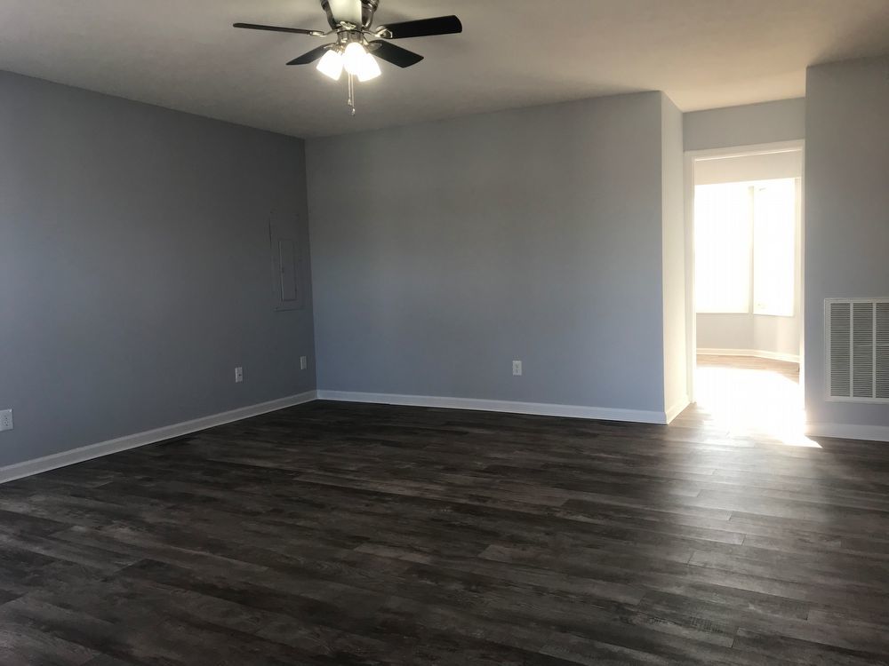 Charming 3 Bed 2 Bath Home In Columbia! property image