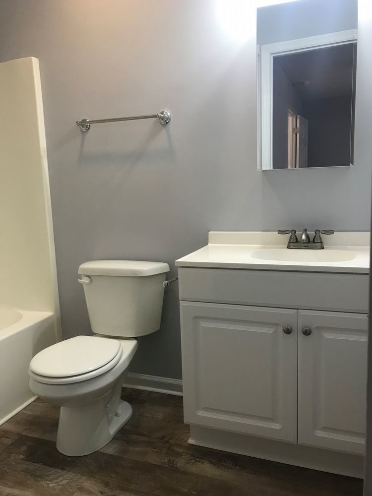 Charming 3 Bed 2 Bath Home In Columbia! property image