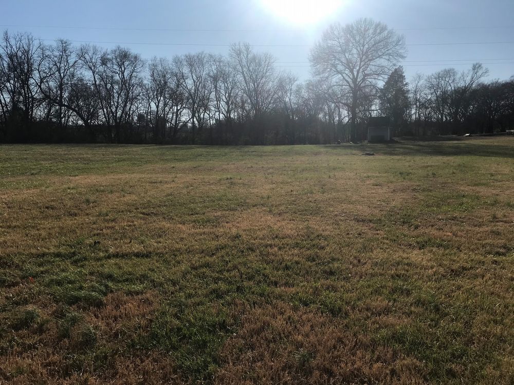 Charming 3 Bed 2 Bath Home In Columbia! property image