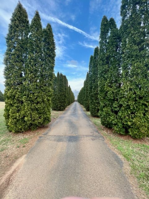 Country Living in the City*4 Bedrooms*Some Acreage Mowing included property image