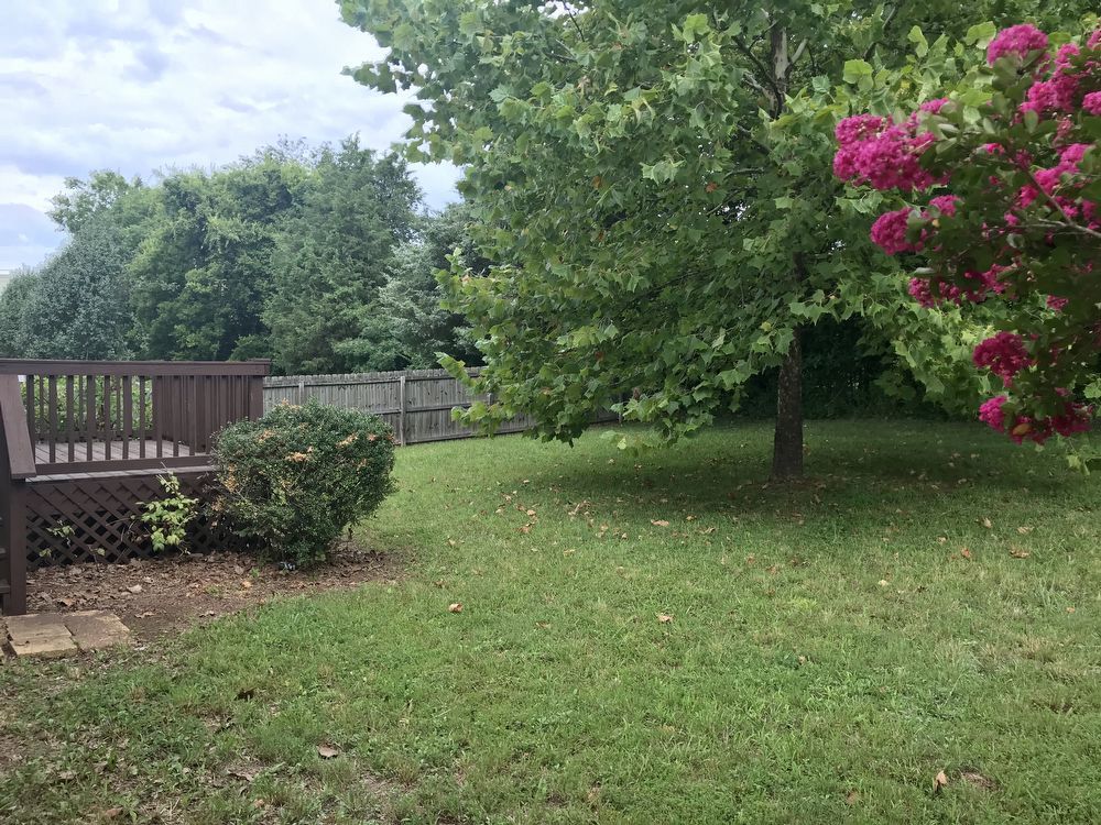 Beautiful 3 Bedroom, 2 Bath Home with Upgrades Throughout! property image