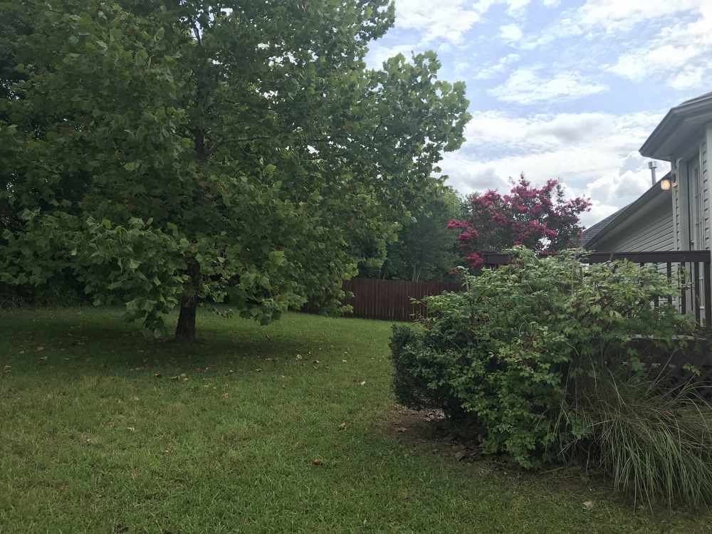Beautiful 3 Bedroom, 2 Bath Home with Upgrades Throughout! property image