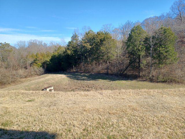 Awesome Location. South Nashville Townhome. Washer & Dryer. property image