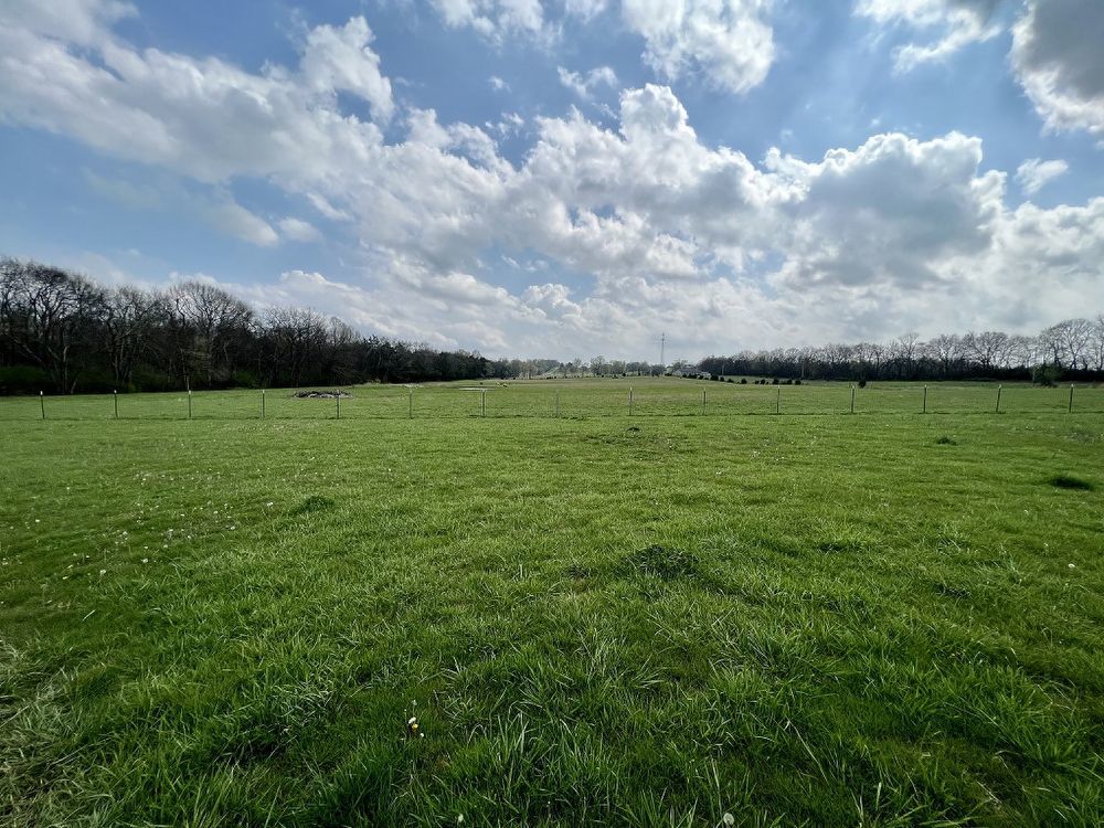 Beautiful 3Br 2Ba Mini Farm, Minutes Outside Shelbyville! property image