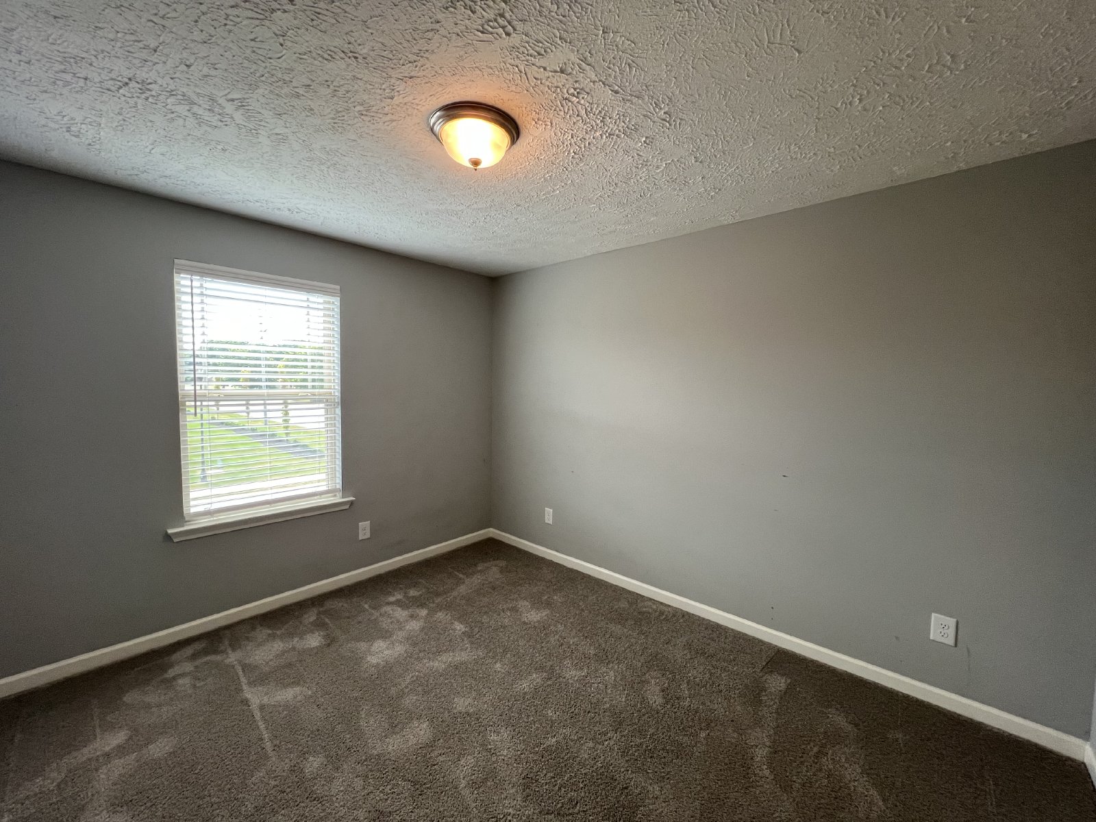 Spacious End Unit 3 BR, 2.5 Bath Townhome in Smyrna - Low Maintenance Living! property image