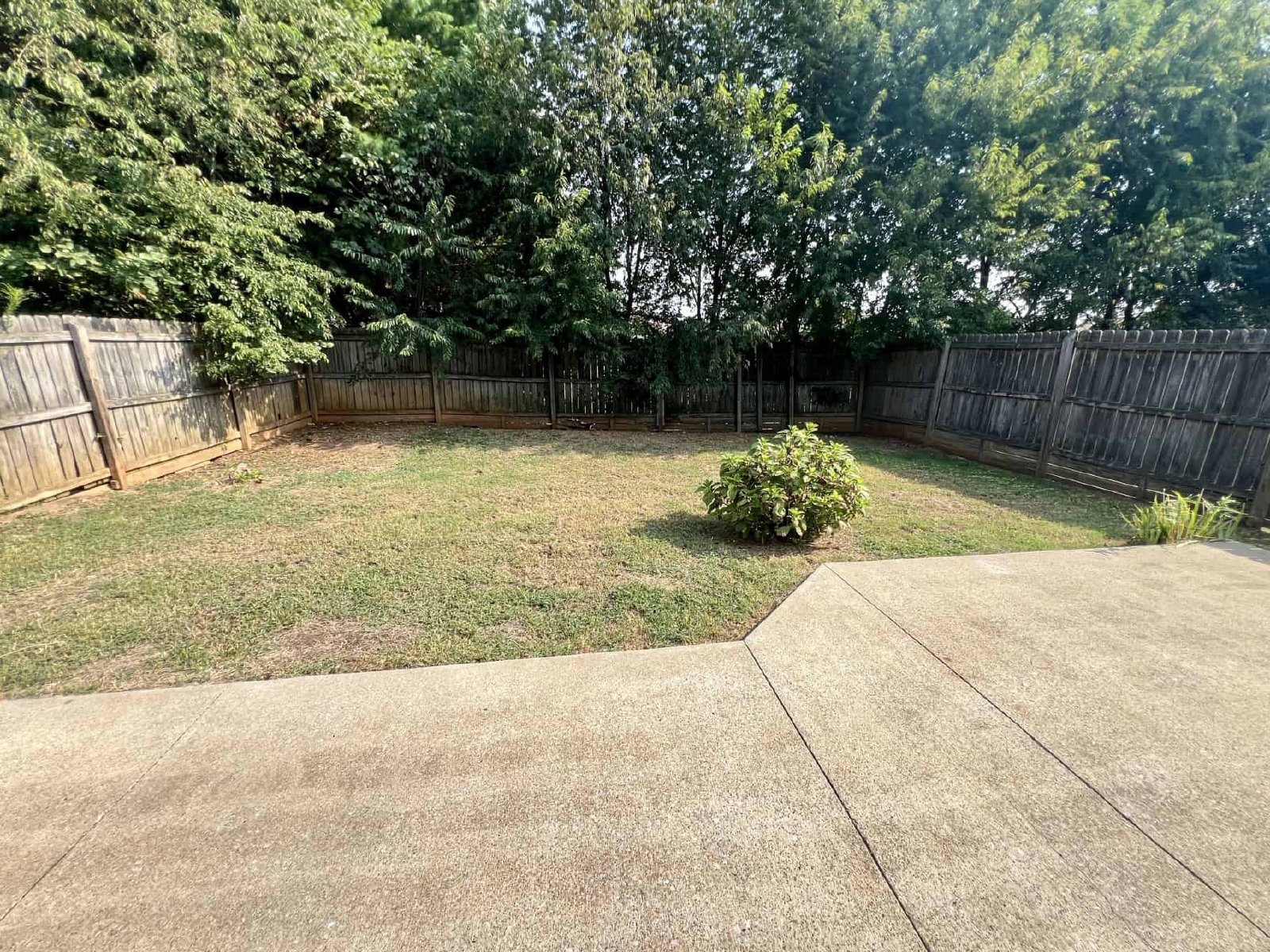Charming 3-Bedroom Home with Fenced Backyard in South Murfreesboro! property image