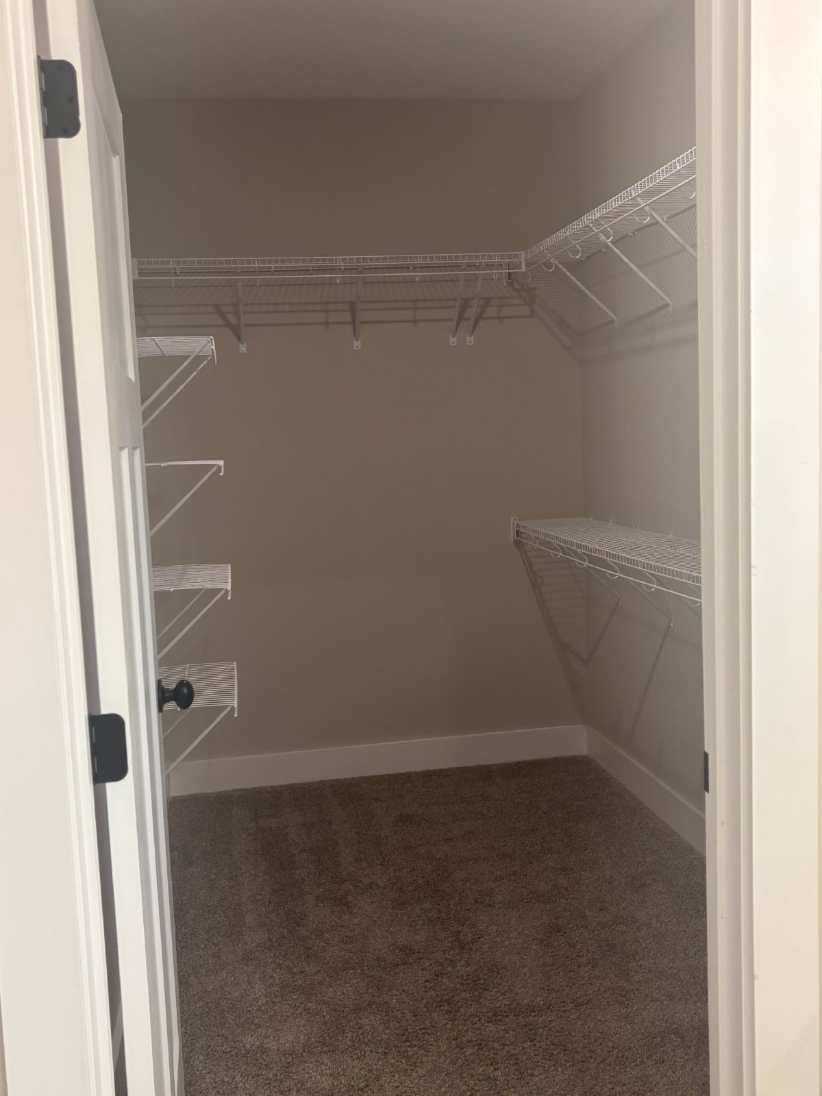 Beautiful New Build 4 Bed, 3.5 Bath, 2 Car Garage - Community Pool & Walking Trail! property image