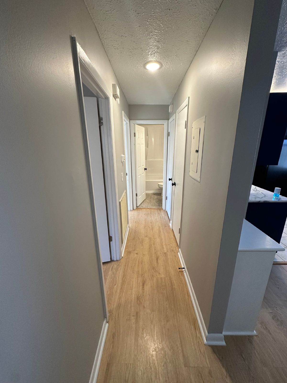 Freshly Renovated 2Bed / 1Bath in Nashville! property image