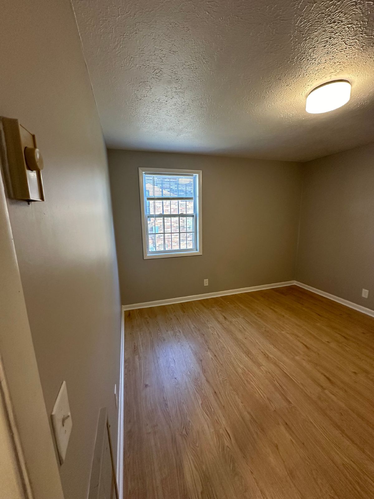 Freshly Renovated 2Bed / 1Bath in Nashville! property image