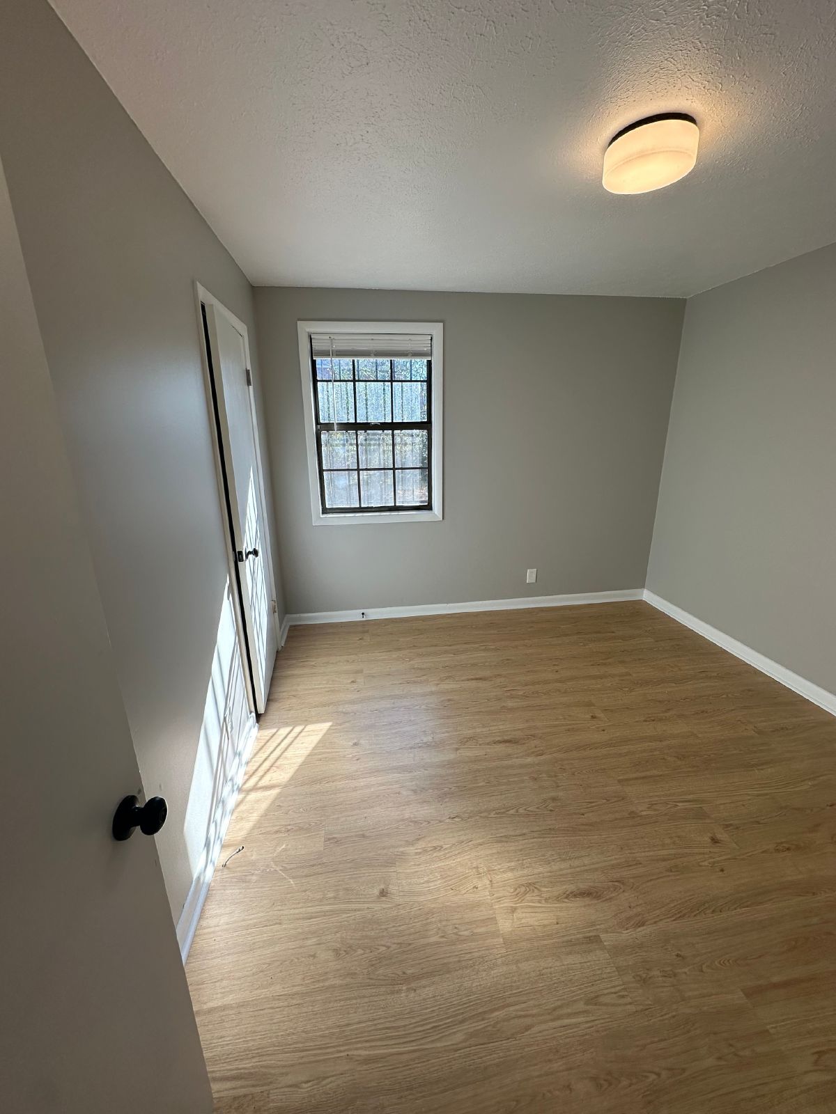 Freshly Renovated 2Bed / 1Bath in Nashville! property image