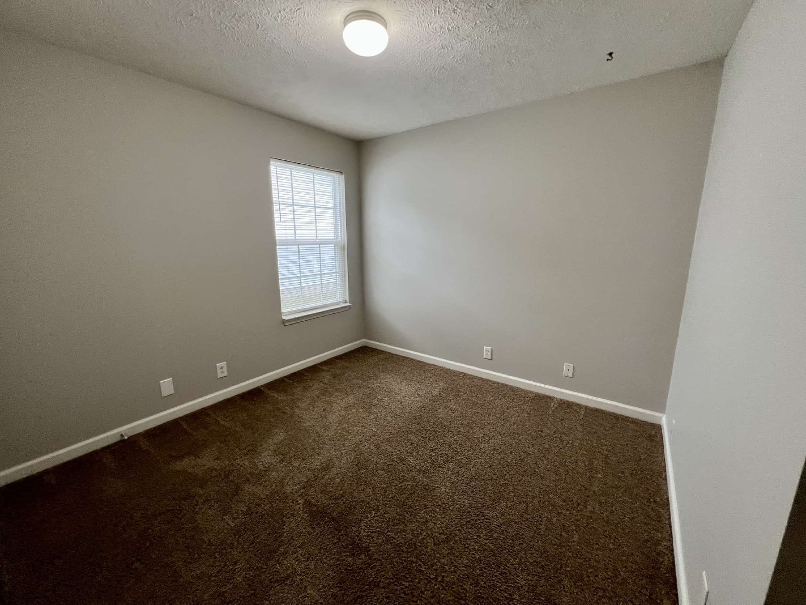 3x2 West Murfreesboro*One Level*Deck*Ready for move in! property image