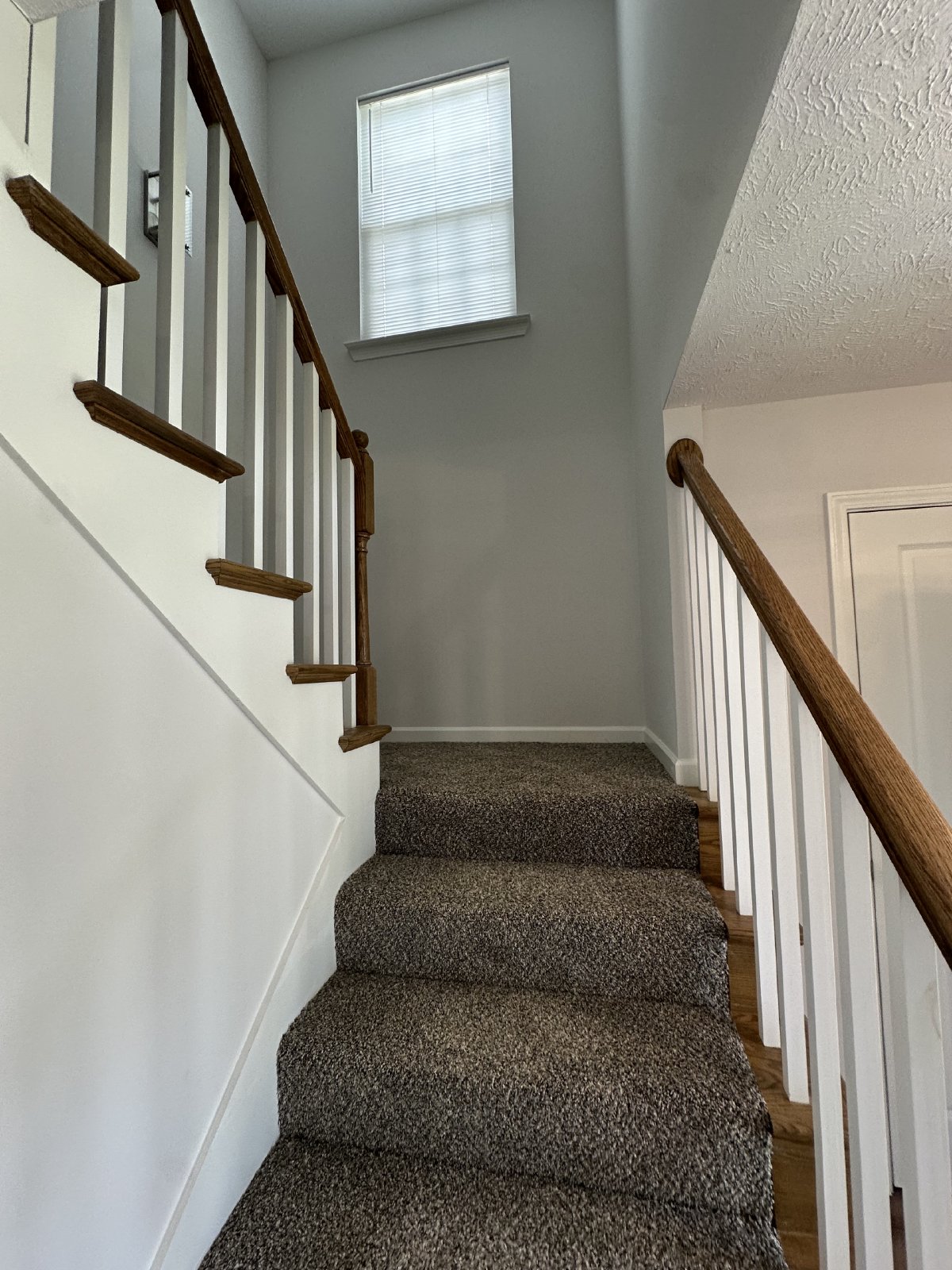 Brand New 3Bed 2Bath Manchester Home property image