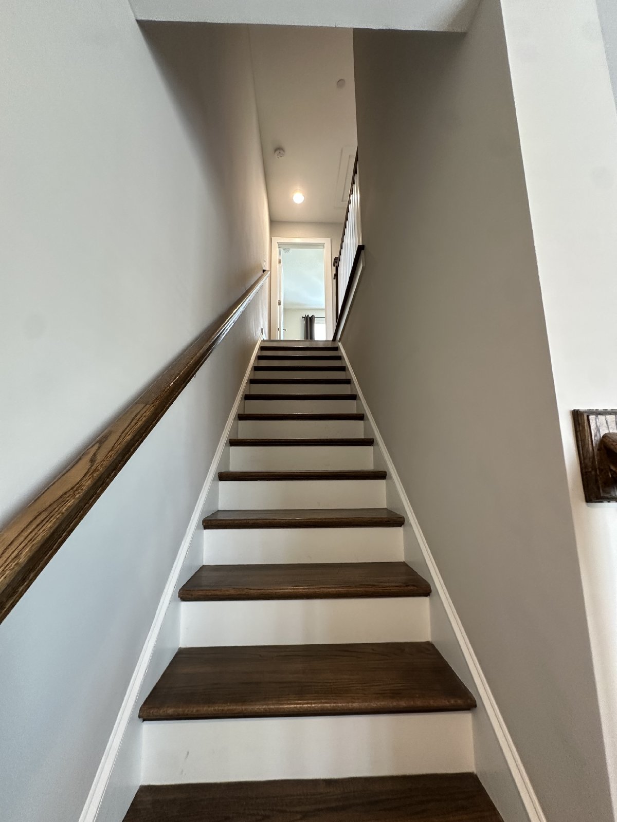 Beautiful 2 Bedroom 2.5 Bathroom Townhome - CHAPEL HILL property image