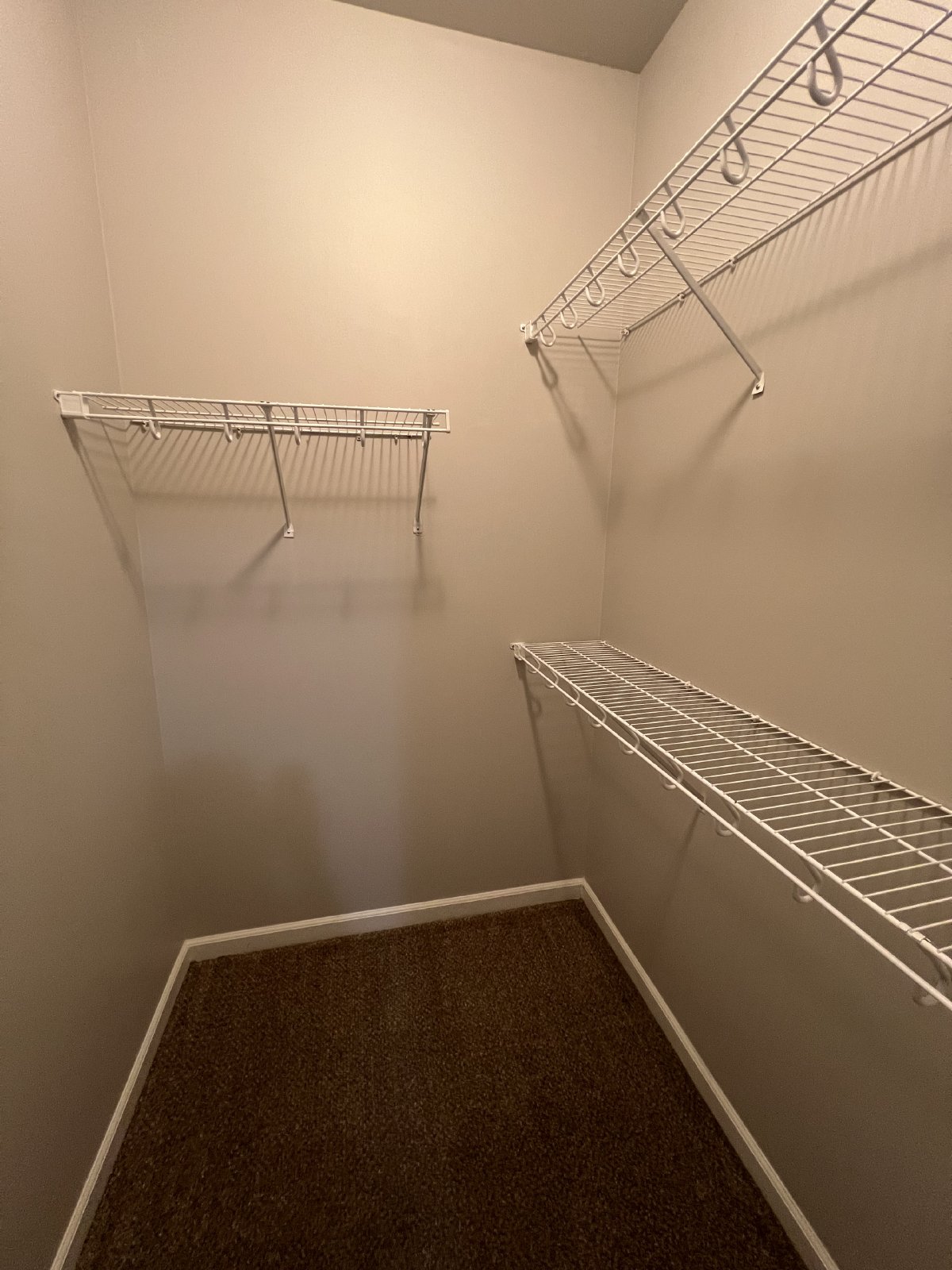 Available Now! 3 BR 2.5 Bath End Unit Townhome in Davidson County! property image