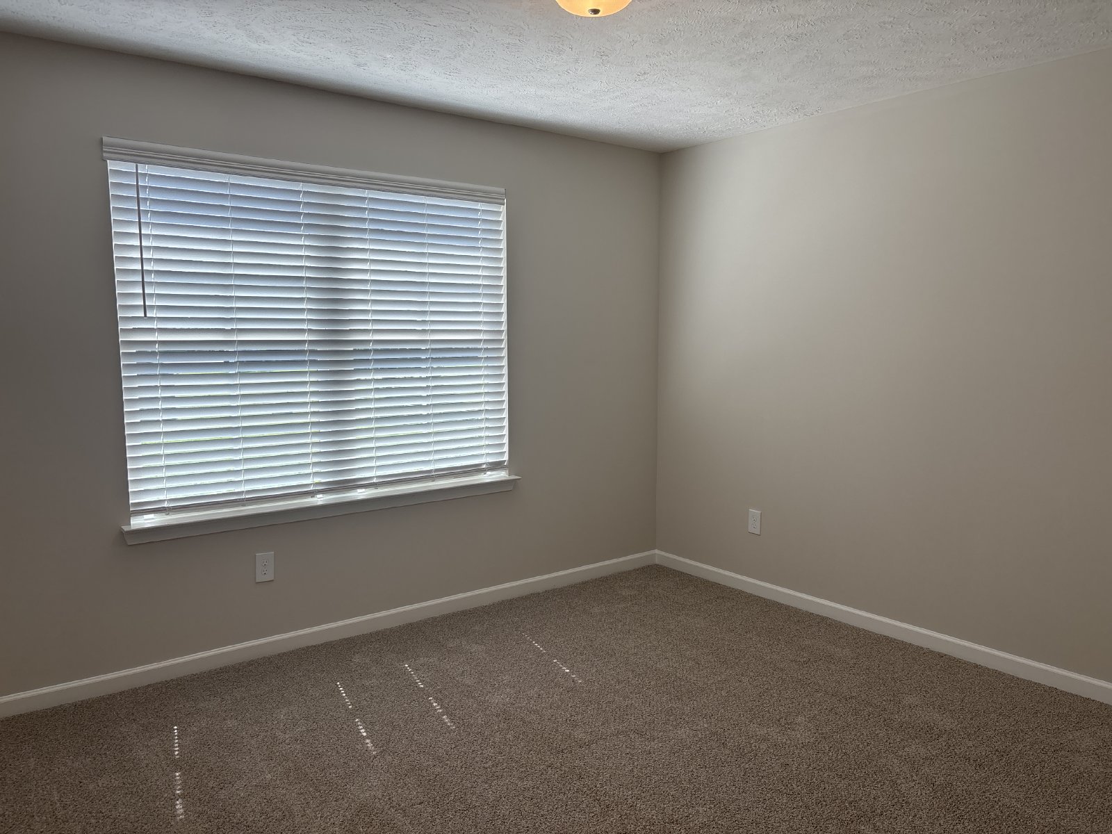 BRAND NEW 4 Bed 3 Bath Townhome Near The Heart Of Shelbyville! property image
