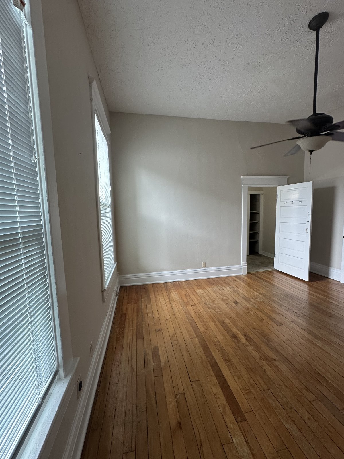 Beautiful and Spacious 2 BR 1 BA Apartment located in Downtown Murfreesboro property image
