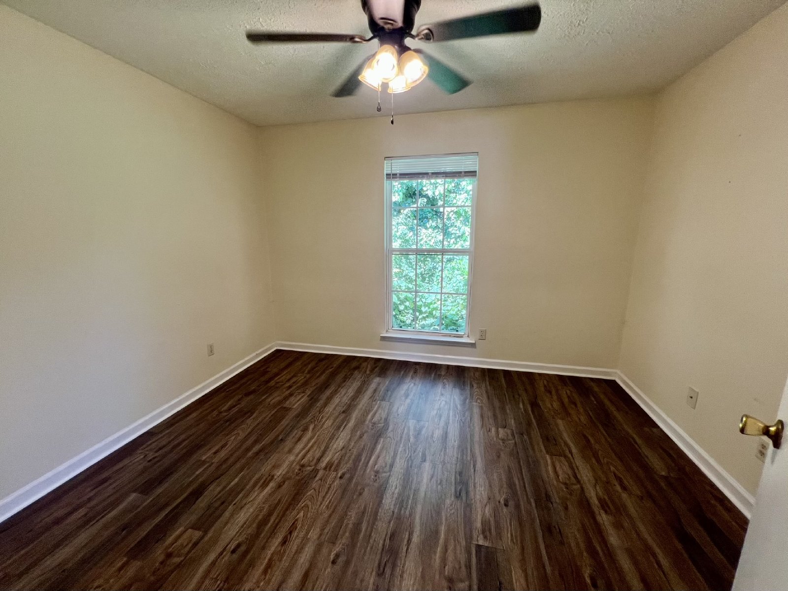 *Upgraded Unit* 1 Bed, 1 Bath Apartment - Ground Level - FREE WATER! property image