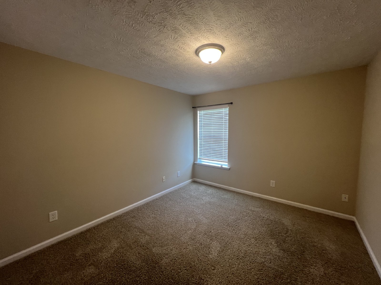 Cute 3 BR 2 Bath 1 Car Garage in Lake Forest Subdivision - Mowing Included! property image