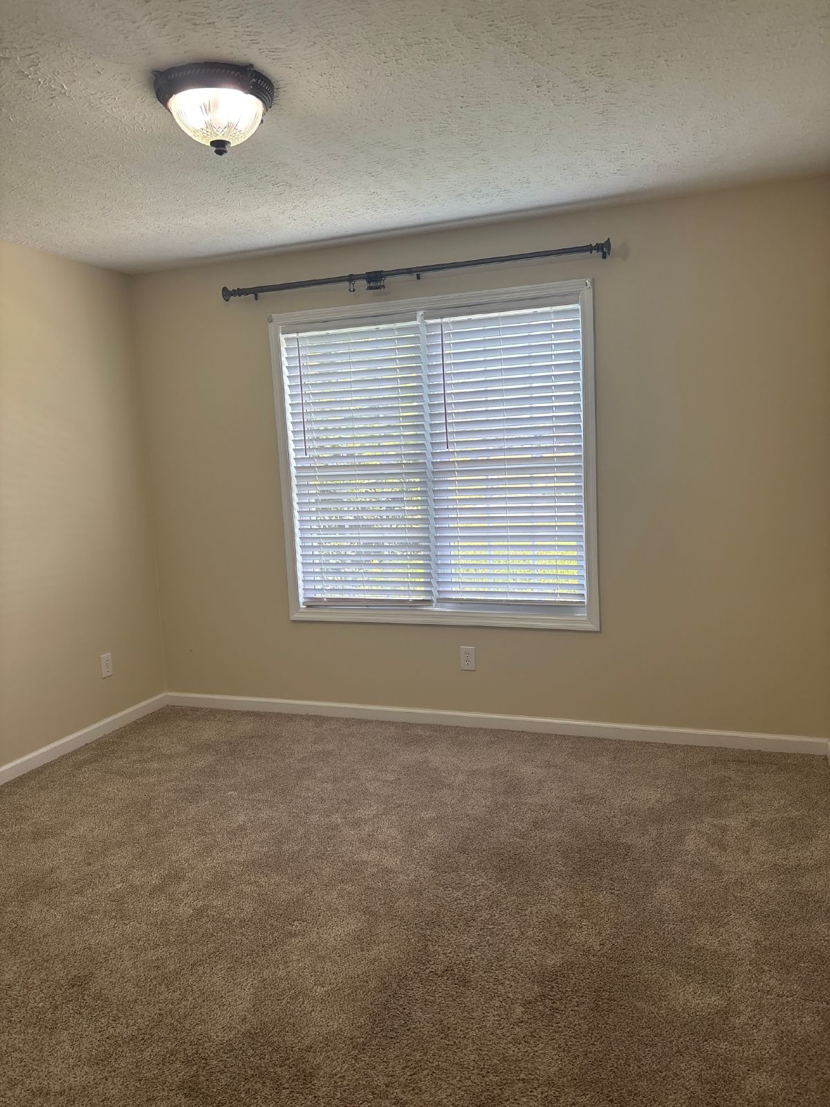 Adorable 3 Bedroom Townhome in the Center of Manchester! property image