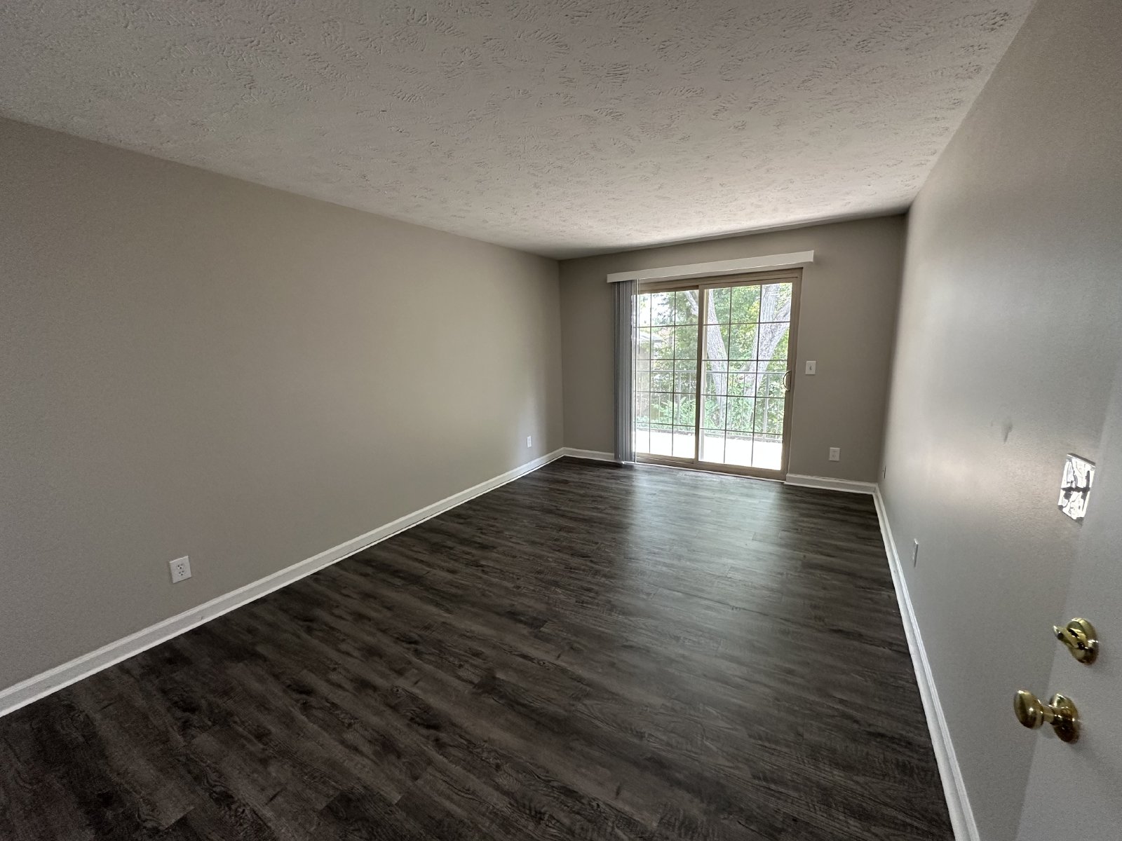 Newly Renovated 1 Bed 1 Bath Apartment Near MTSU! property image