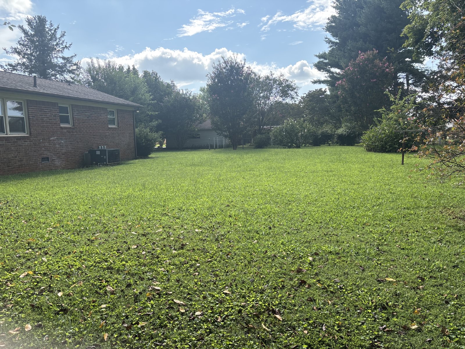 Spacious Brick Ranch Home with a Large Yard! property image