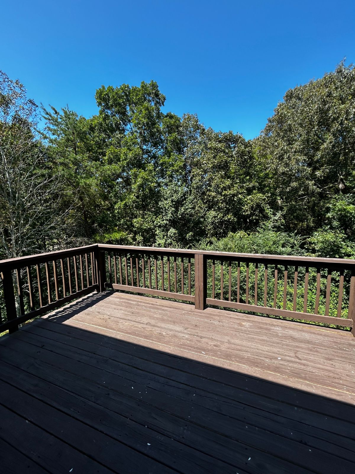 3 Beds, 2 Baths, HUGE Basement Garage in Charming Neighborhood! property image