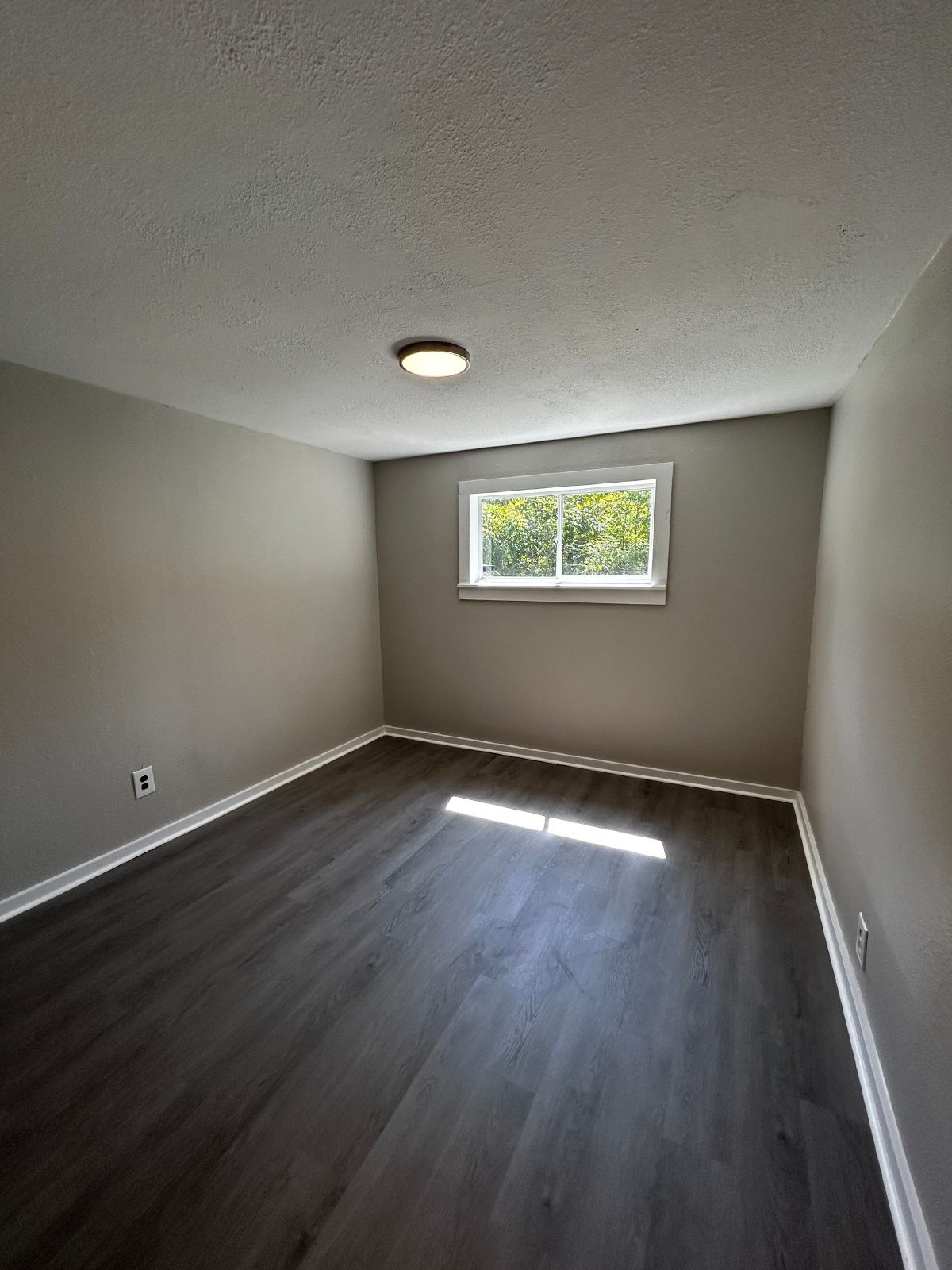 Recently Renovated 2 Bed, 1 Bath Home! property image