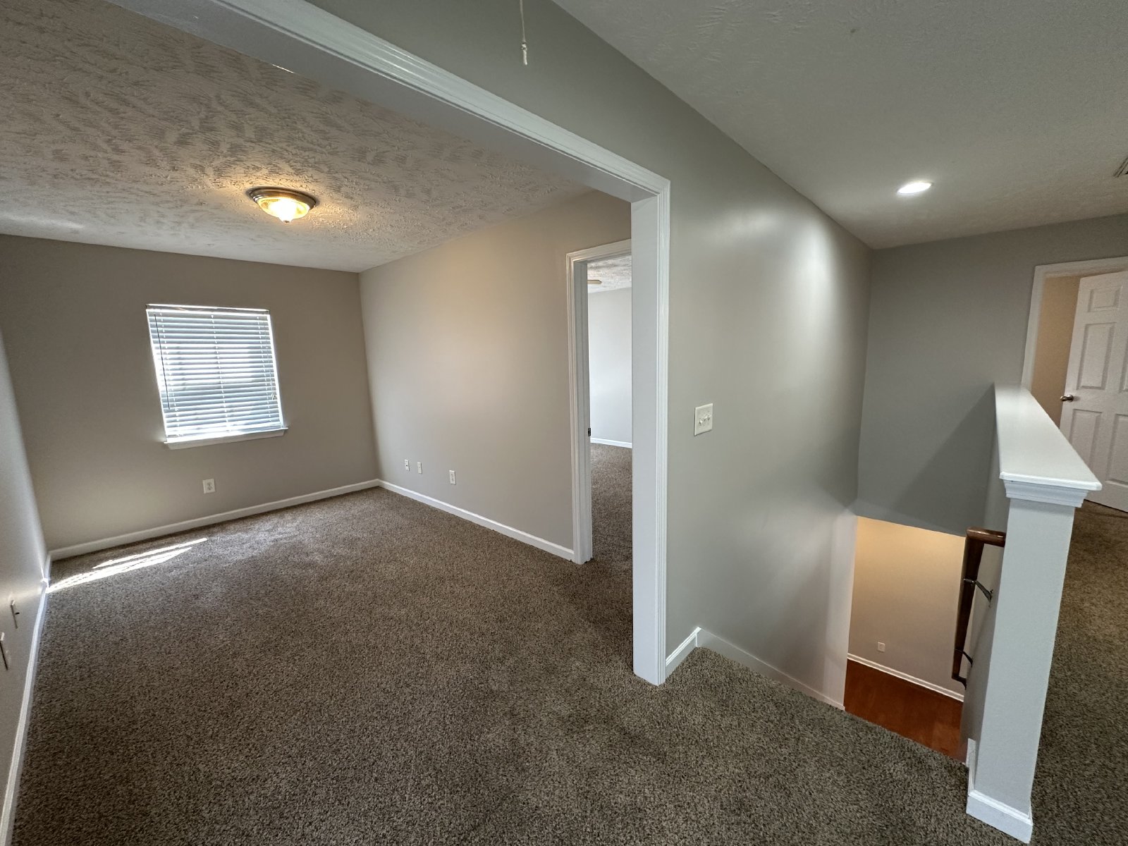Amazing 3 Bed 2.5 Bath House In Spring Hill property image
