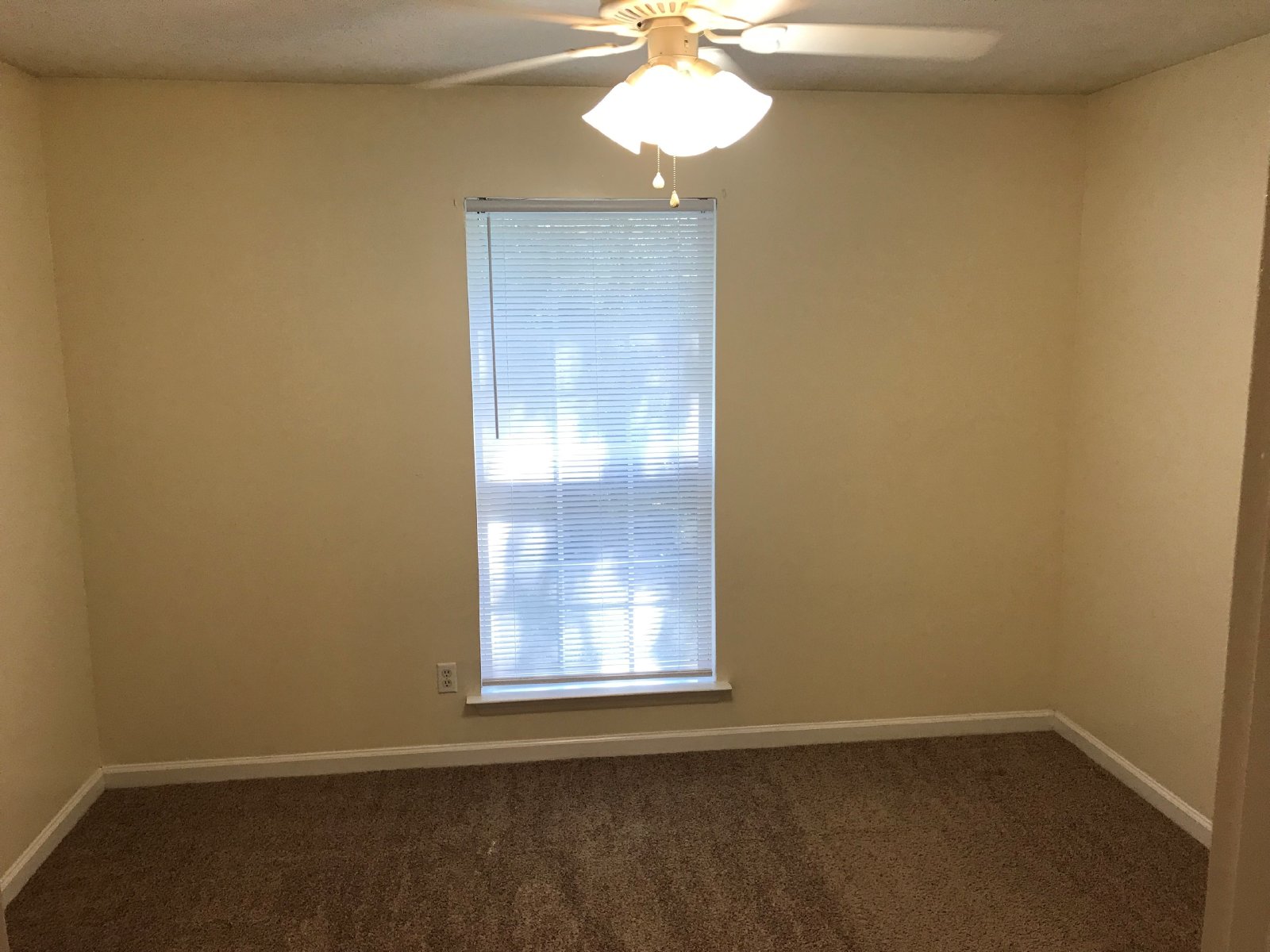 1BR 1BA Apartment at Venture Point B12 - Water Included property image