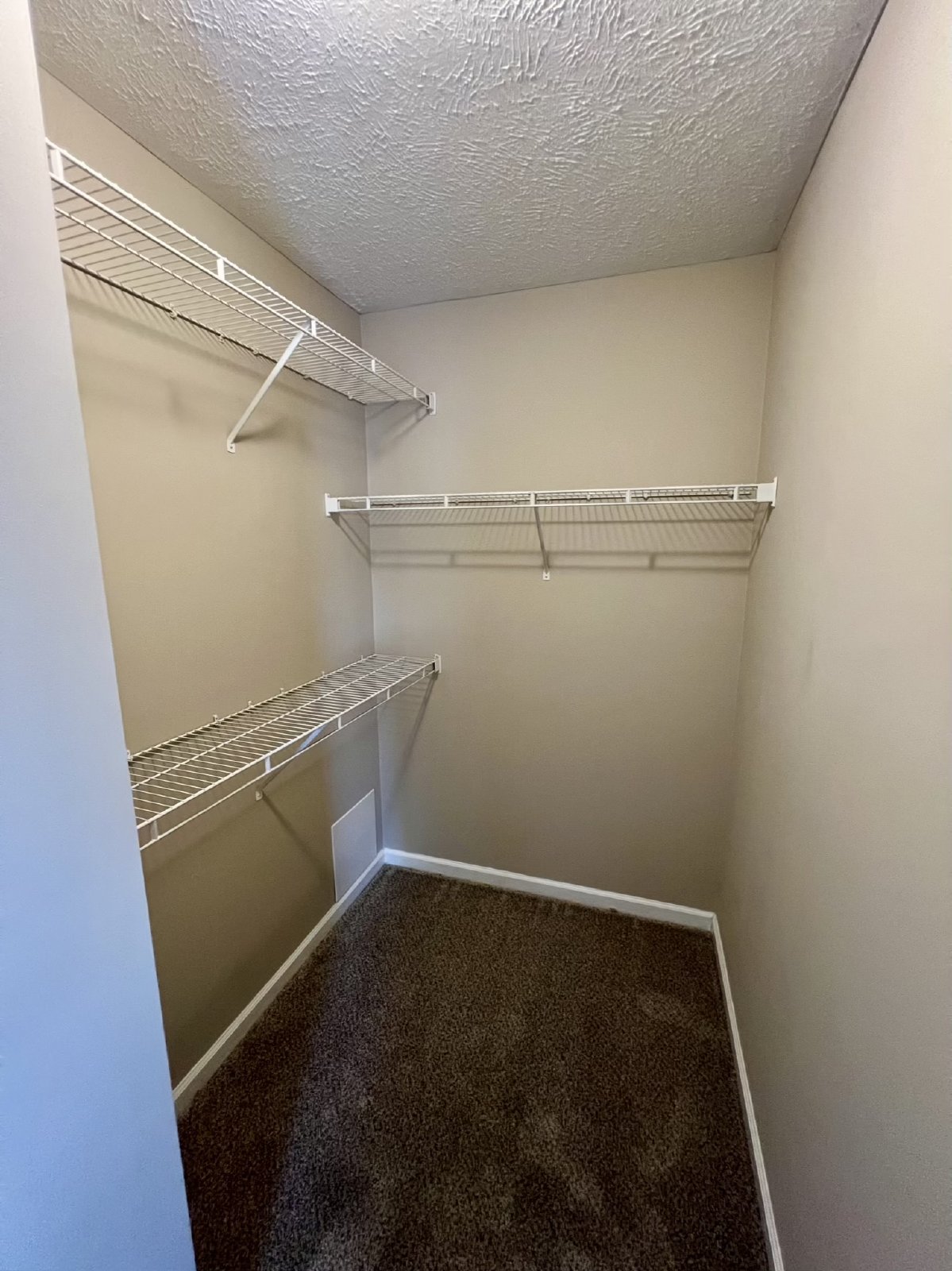 3BR 2BA *Fully Fenced Yard* Plus Garage in Murfreesboro property image