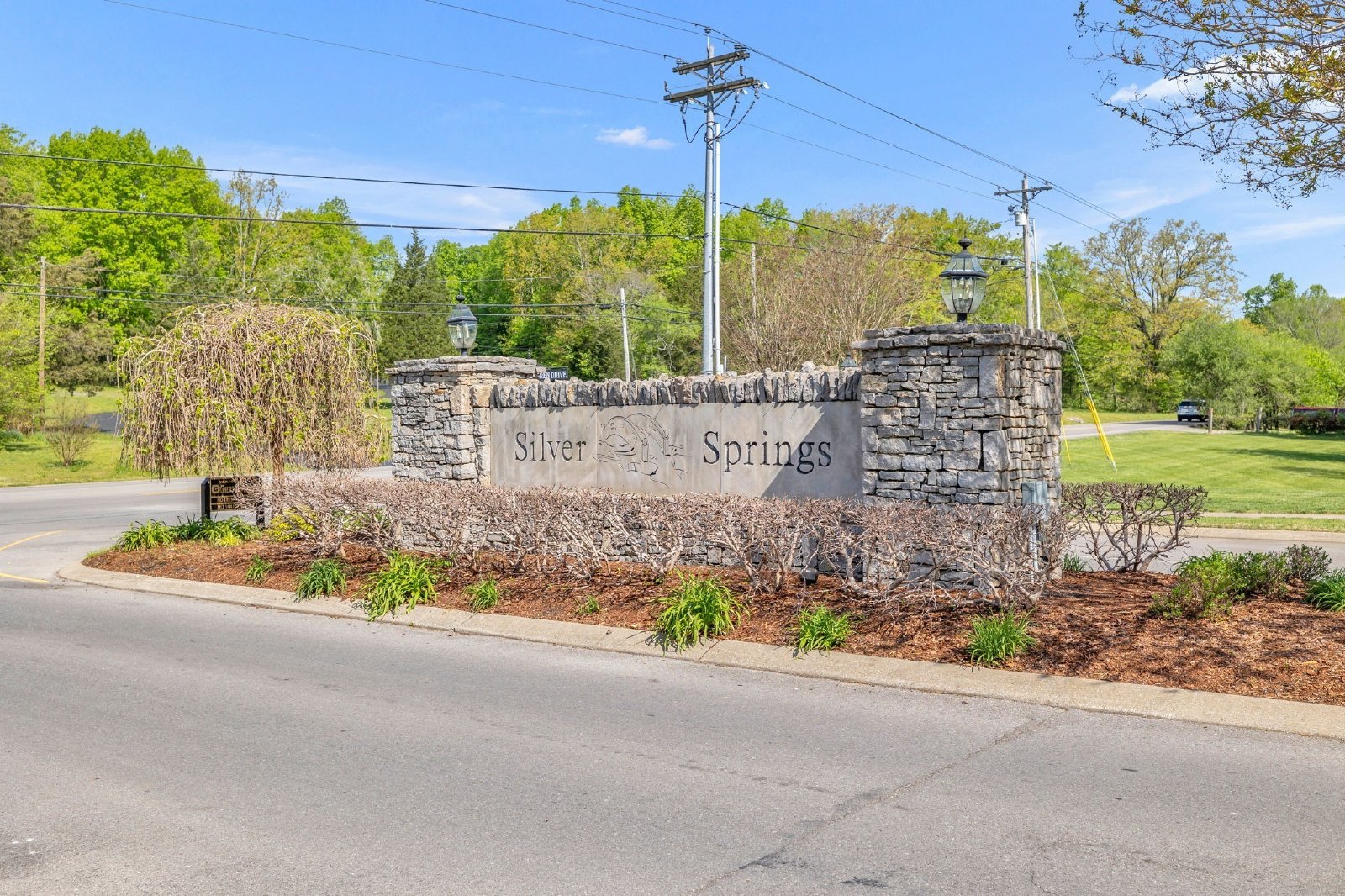 Incredible 4 Bed, 3 Bath Home in Mt. Juliet property image