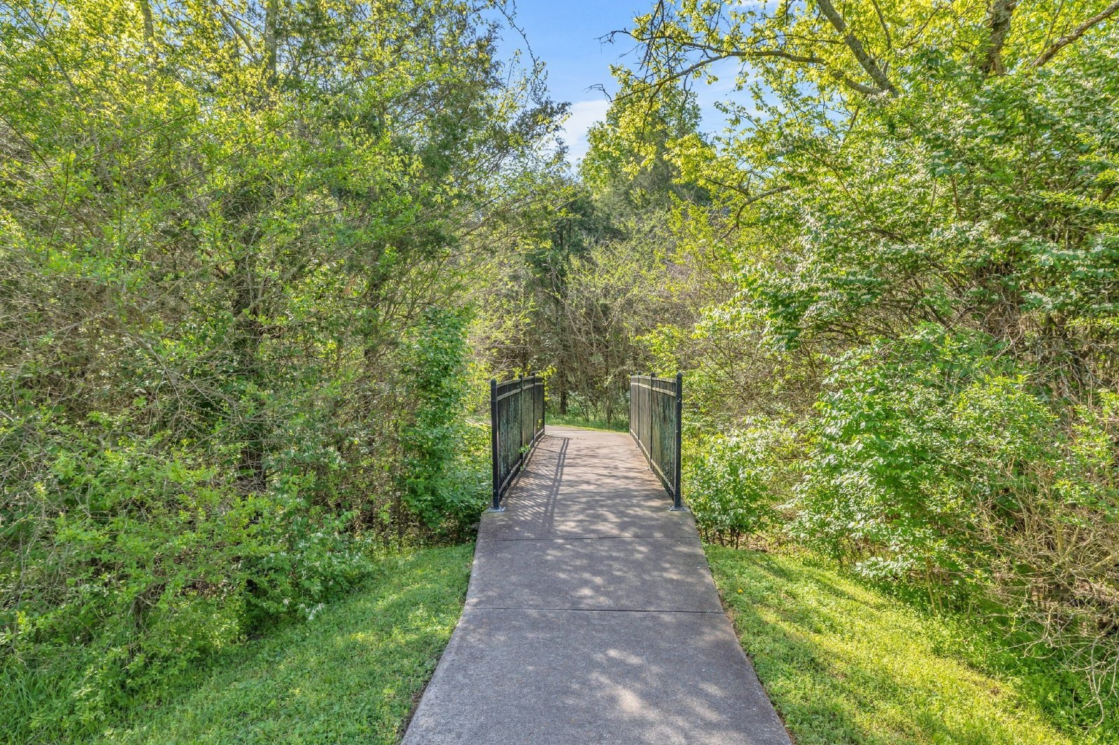 Incredible 4 Bed, 3 Bath Home in Mt. Juliet property image