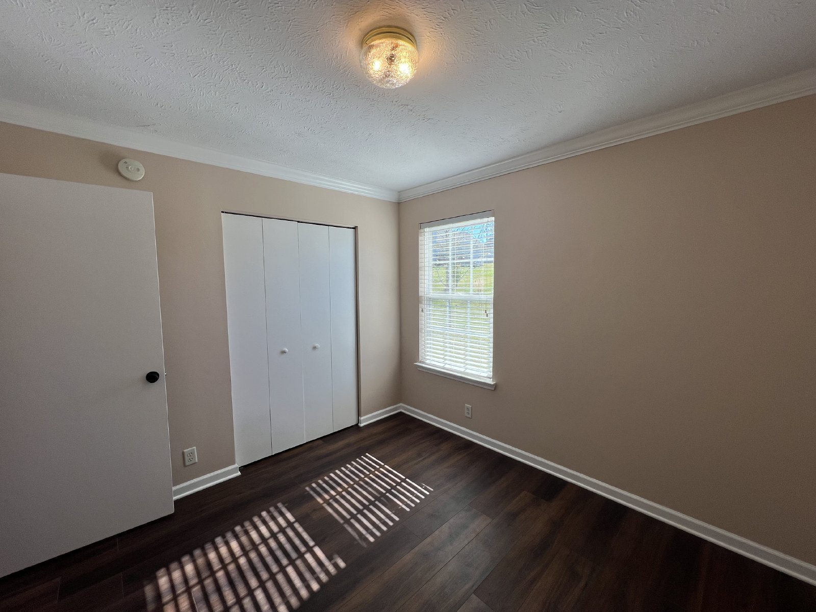 Beautifully Updated 3 bedroom 2 bath Home Located in LaVergne - Mowing Included! property image