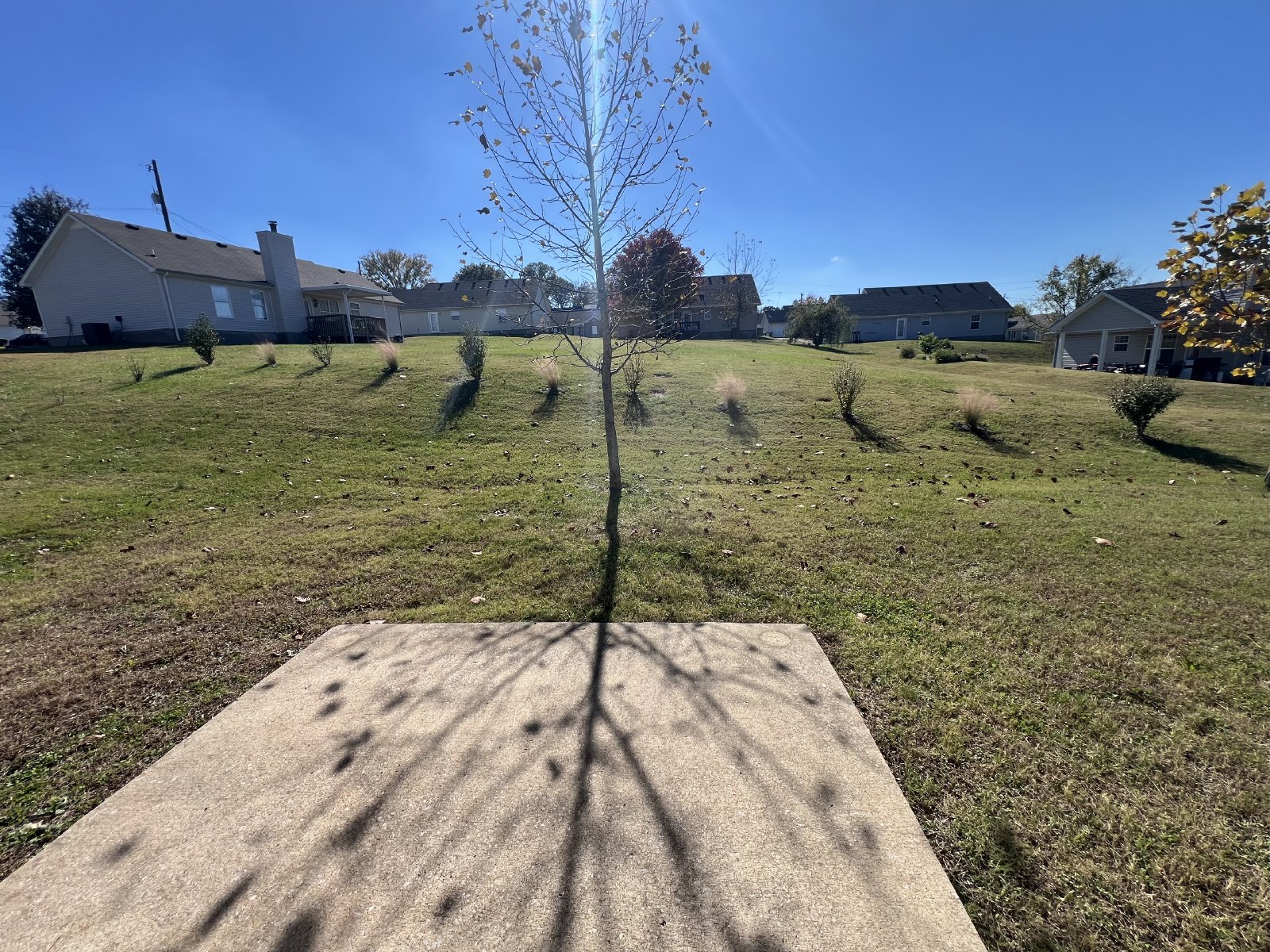 Beautifully Updated 3 bedroom 2 bath Home Located in LaVergne - Mowing Included! property image