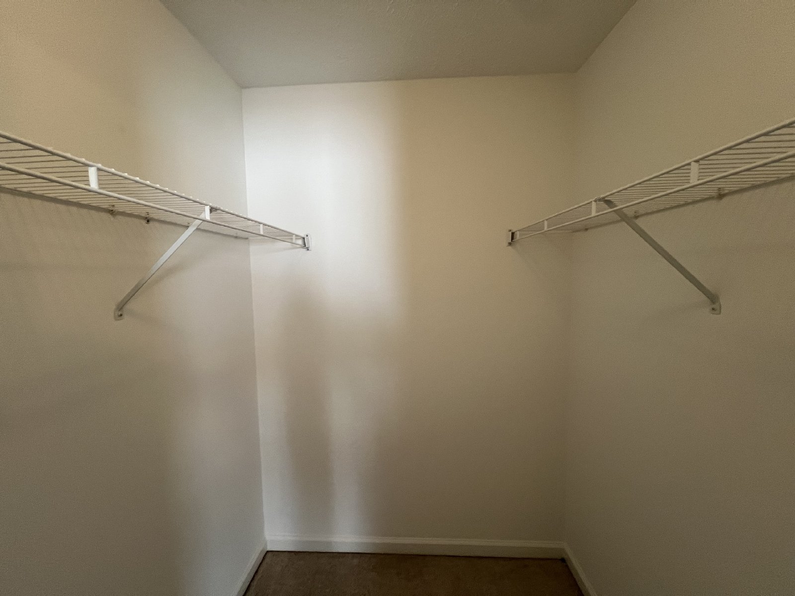 Beautiful 3 Bedroom 2 Bath Home in Christiana - Fenced-in Backyard - Available Now!! property image