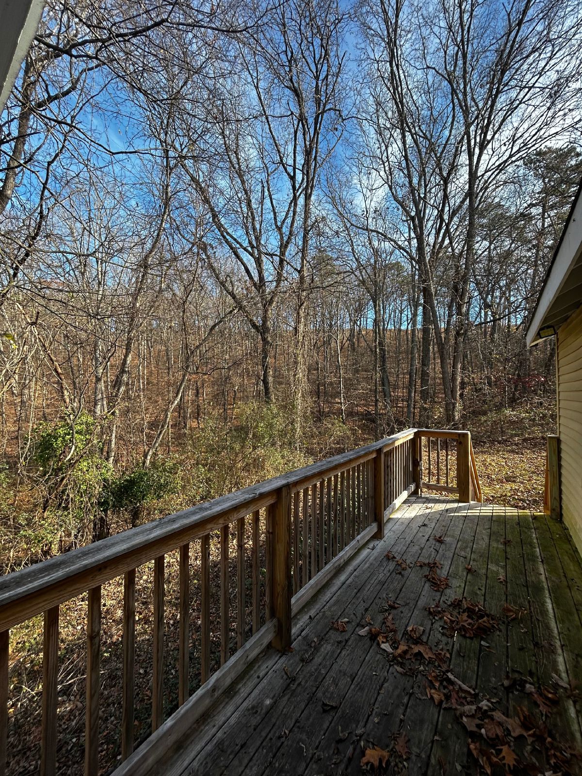 Charming 1-bedroom, 1-bathroom nestled in the heart of Ringgold, GA property image