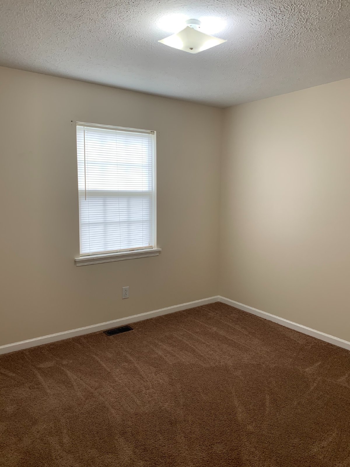 Adorable 3 Bedroom Home with Large Yard!... property image