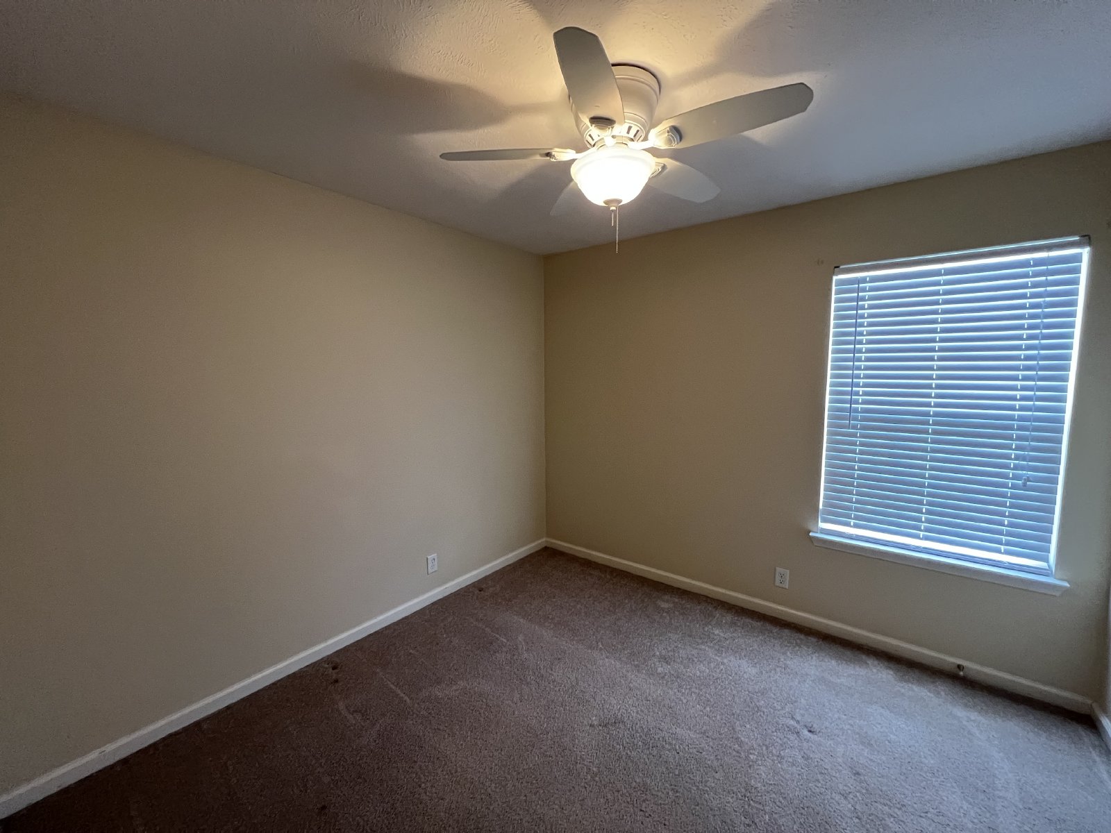 Available Now 3 BR 2 Bath Home in Lavernge with Fenced in Backyard! property image