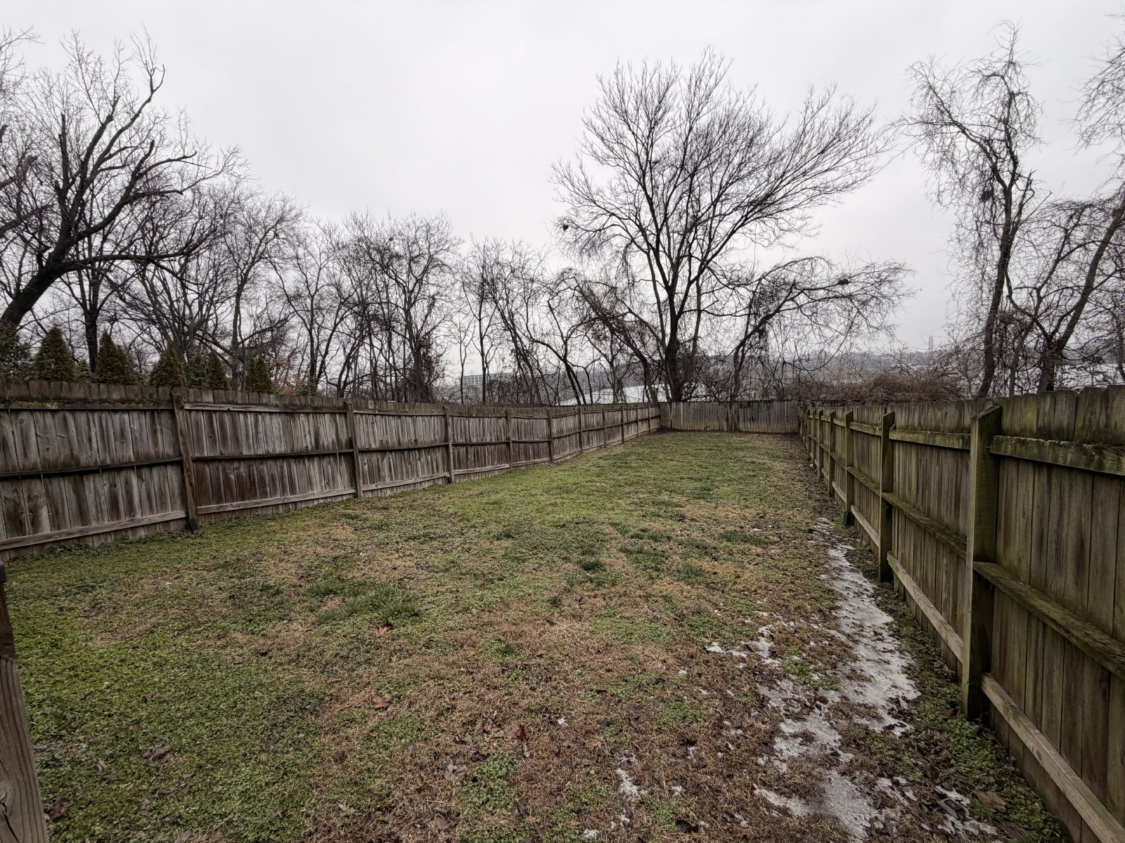 Beautiful Modern Home in Nashville Near the Fairgrounds property image