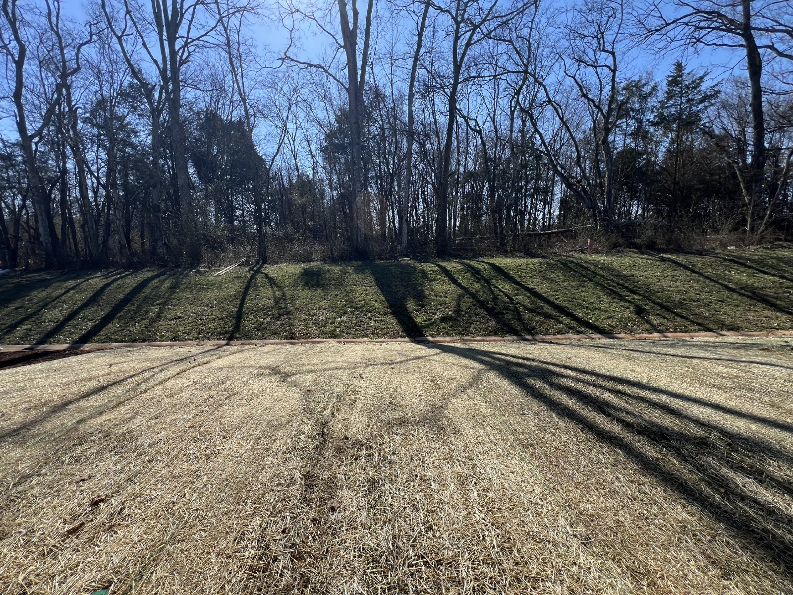 Gorgeous NEW CONSTRUCTION 3 BR 2 Bath Home - Right off Hwy 231 S. property image