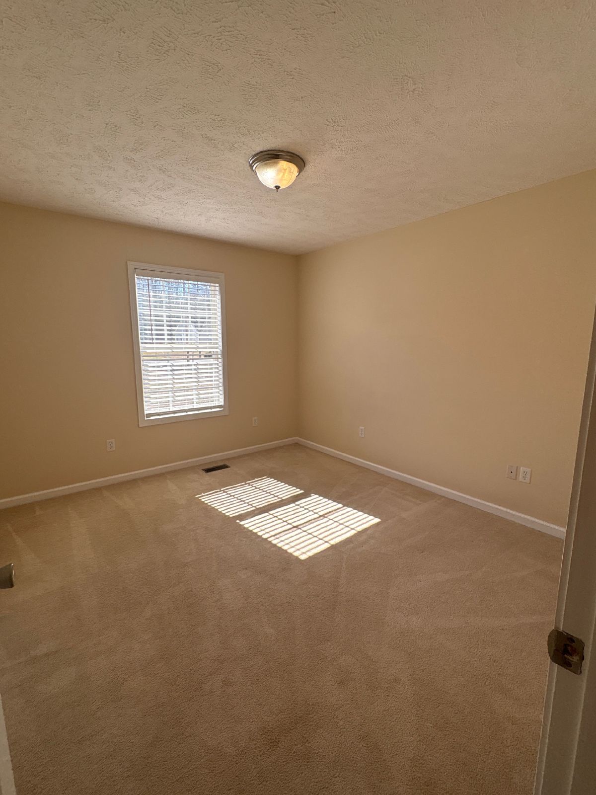 Spacious 3 Bedroom Home with Large Yard!! property image