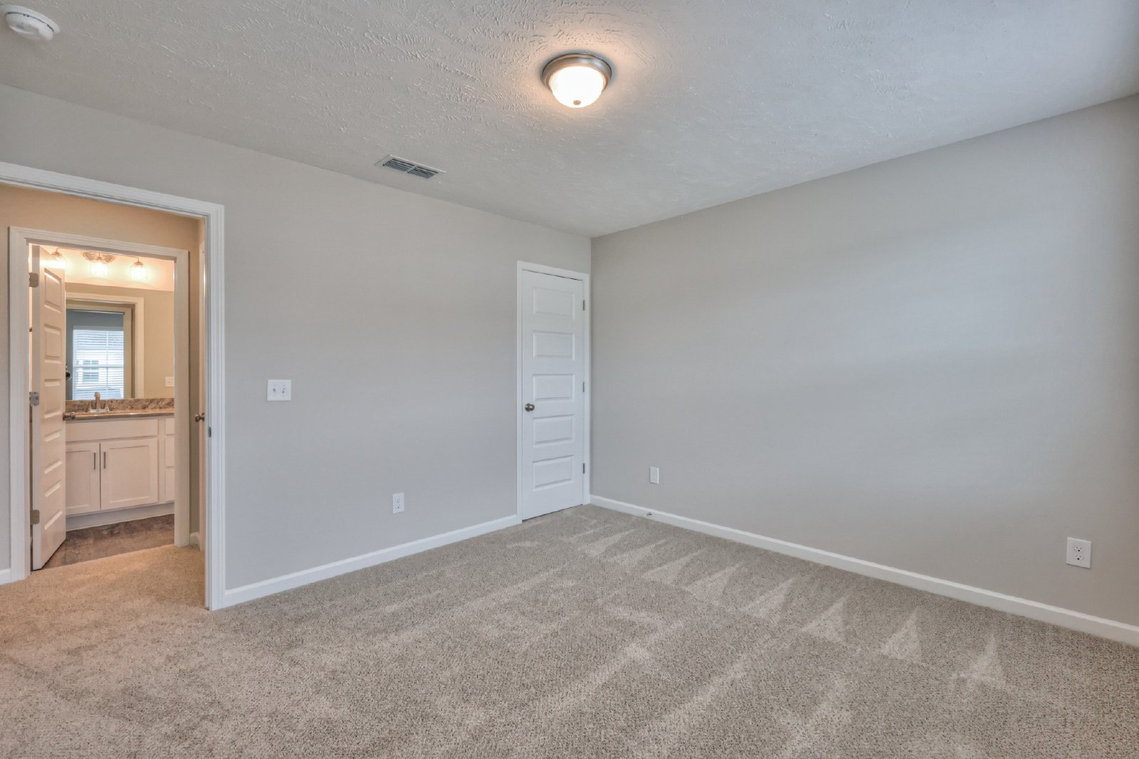 Brand New Luxury Townhome! 3 BR, 2.5 BA, 2 Car Garage, Pool, Dog Park, and More! property image