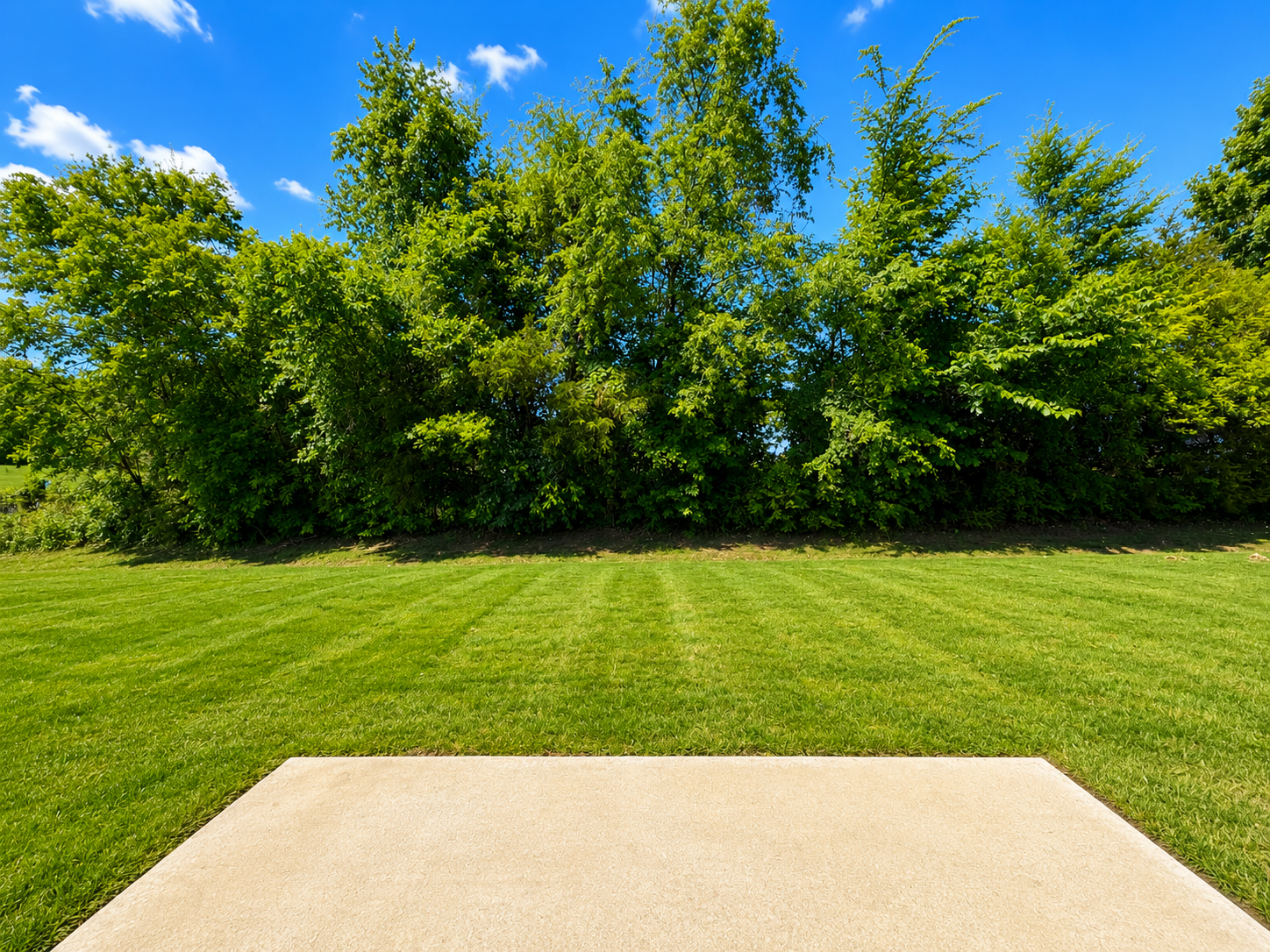 Like-New 4BR Home in Christiana | Open Floor Plan + Large Backyard! property image