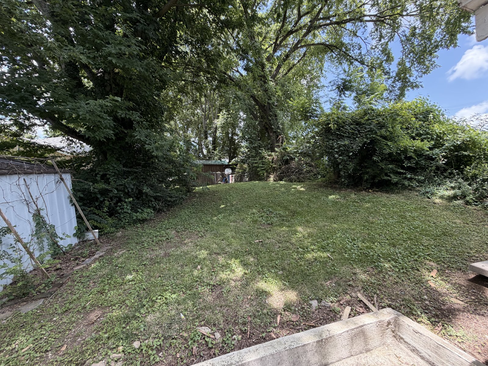 Cute 3 BR 1 BA in Mt Pleasant - Available Immediately! property image