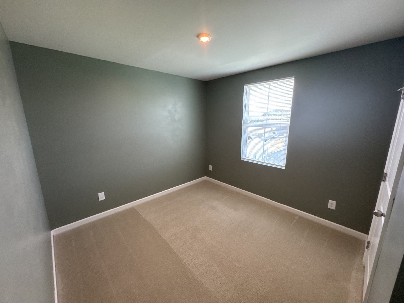 Beautiful 4-Bedroom Home in Thornton Grove – Convenient North Nashville Location! property image