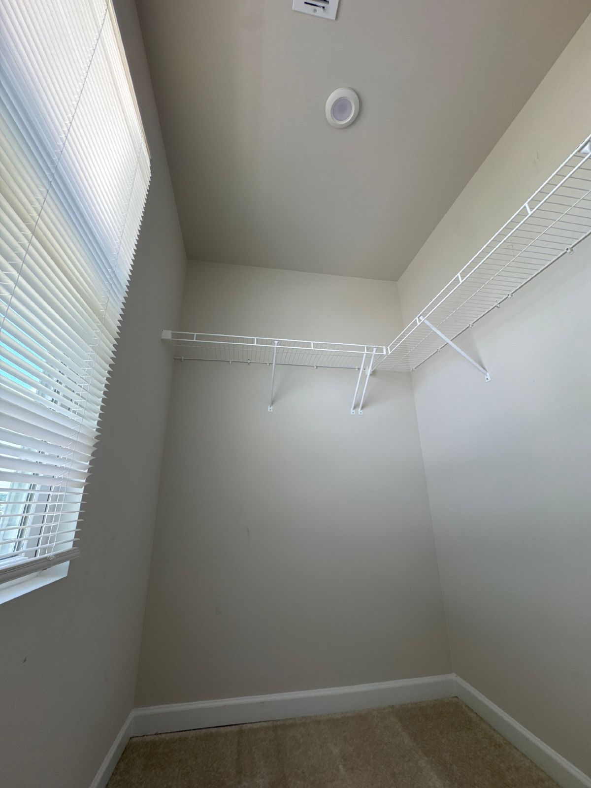 Beautiful 4-Bedroom Home in Thornton Grove – Convenient North Nashville Location! property image