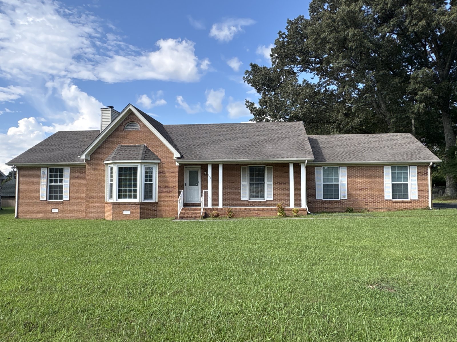 Spacious Brick Home with Fenced-In Back yard! property image