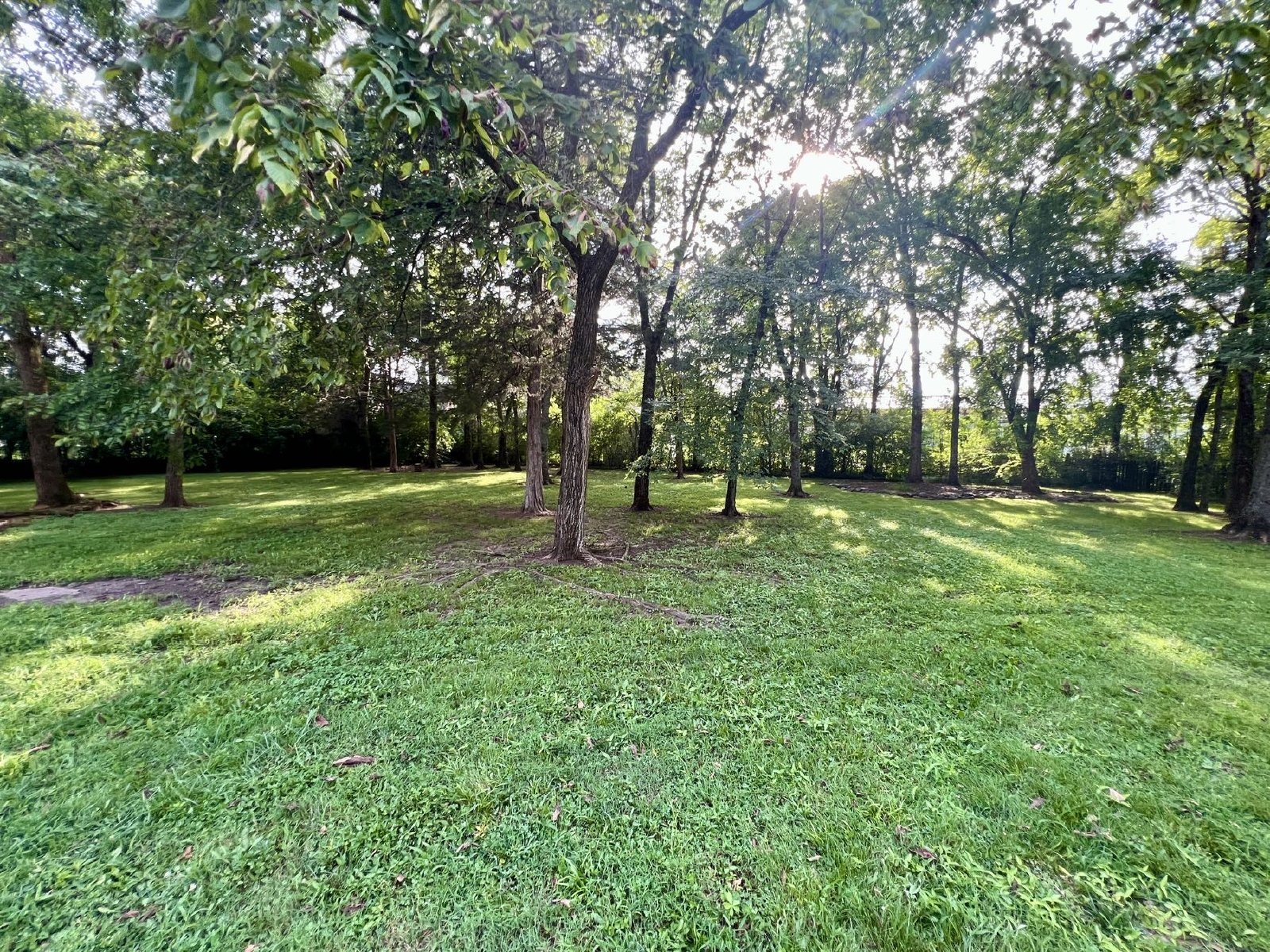 3 Bedroom Plus Bonus on Cul-de-Sac, Beautiful North Murfreesboro Neighborhood property image