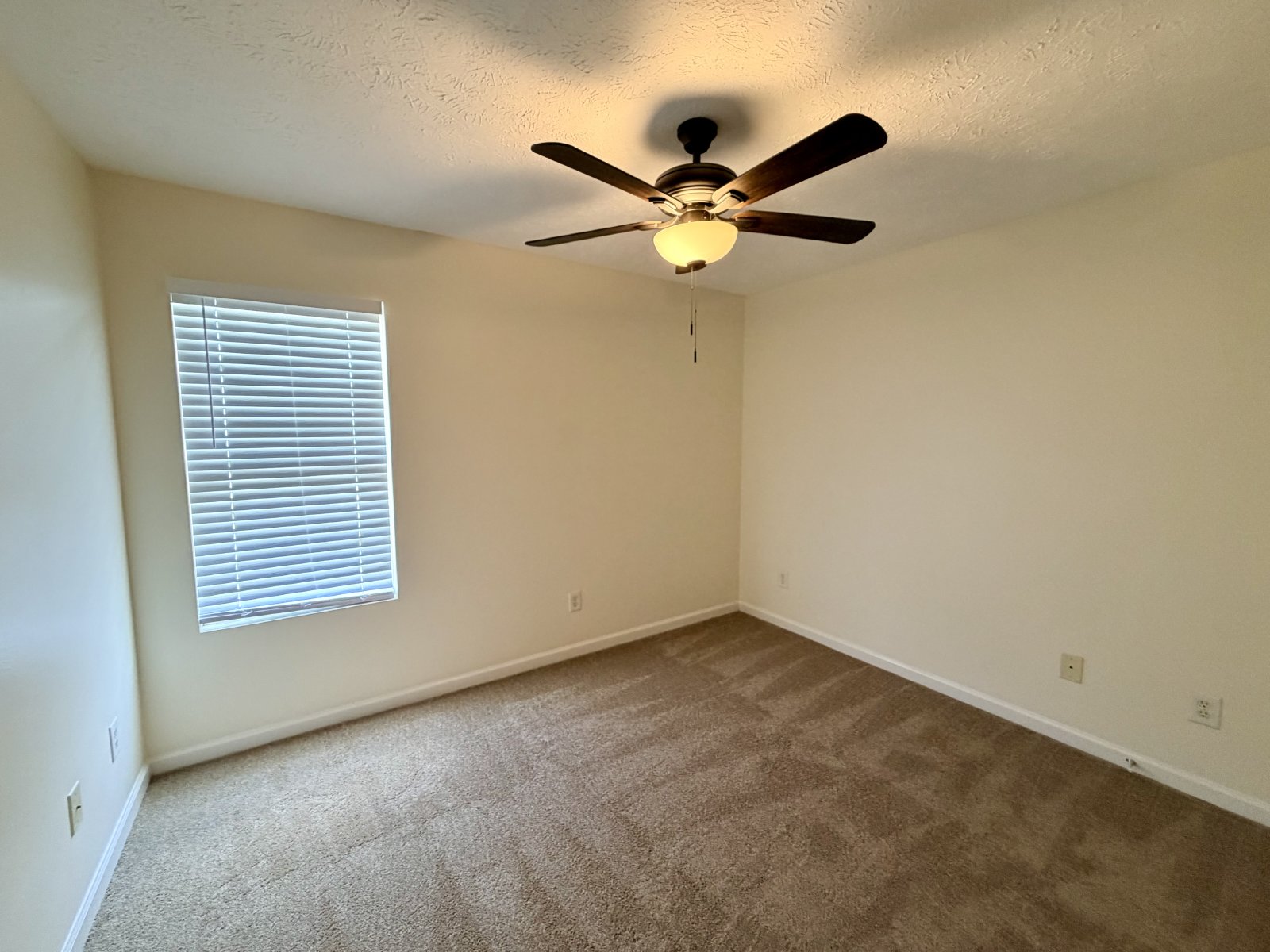 Nice 3 Bedroom 2.5 Bath Home Available Now in Murfreesboro - Close to MTSU property image