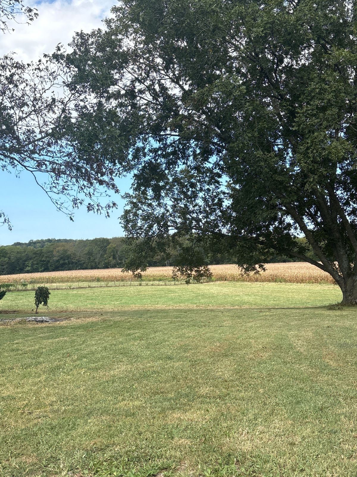 Country Farmhouse with Beautiful Mountain Vuews! property image